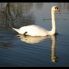 20060421_096